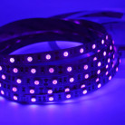 Ультрафиолетовая (УФ/UV )светодиодная лента SMD 5050, 60 диодов/метр, 12 В, IP33