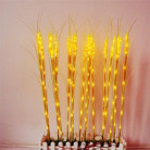 Светодиодные колосья (пшеница), набор 15 шт, 80 см ,220 вольт AC, цвет теплый белый
