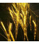 Светодиодные колосья (пшеница), 10 шт., 80 см, с солнечной батареей, цвет теплый белый