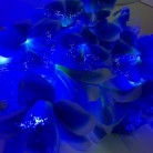 Новогодняя гирлянда «Цветы, 3,5м., цвет синий