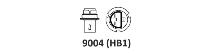 HB1 (9004)