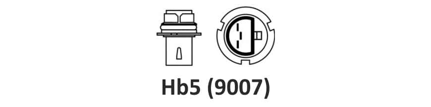 HB5 (9007)